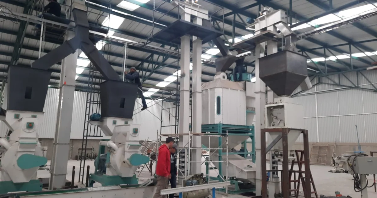 Guide d'Installation d'une Usine de Granules de Bois a Grande Echelle