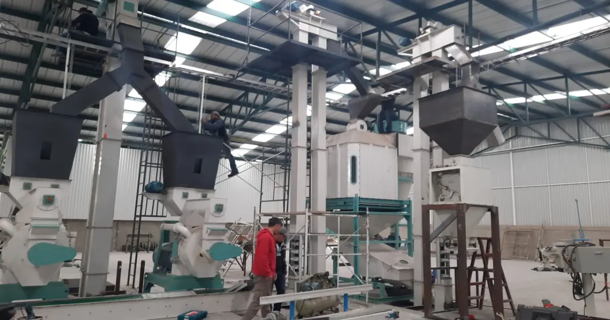 Installation et Mise en Service d’Usines de Granulés (Pellets)